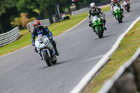 PJ-Motorsport-Photography-2020;anglesey;brands-hatch;cadwell-park;croft;donington-park;enduro-digital-images;event-digital-images;eventdigitalimages;mallory;no-limits;oulton-park;peter-wileman-photography;racing-digital-images;silverstone;snetterton;trackday-digital-images;trackday-photos;vmcc-banbury-run;welsh-2-day-enduro